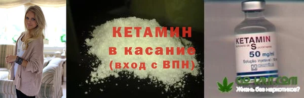 шишки Богородск
